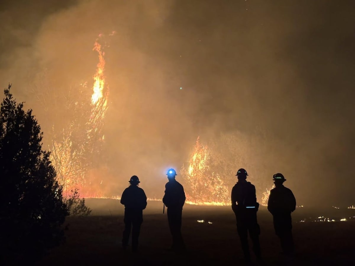 Colorado Communities Unite After Aspen Acres Fire - Image 5