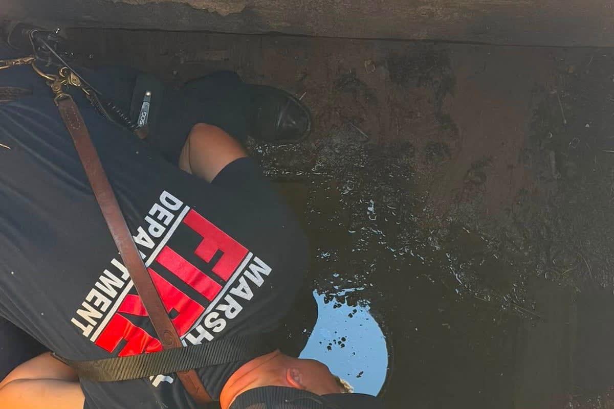 Marshall Firefighters Rescue School Duck from Storm Drain - Image 4