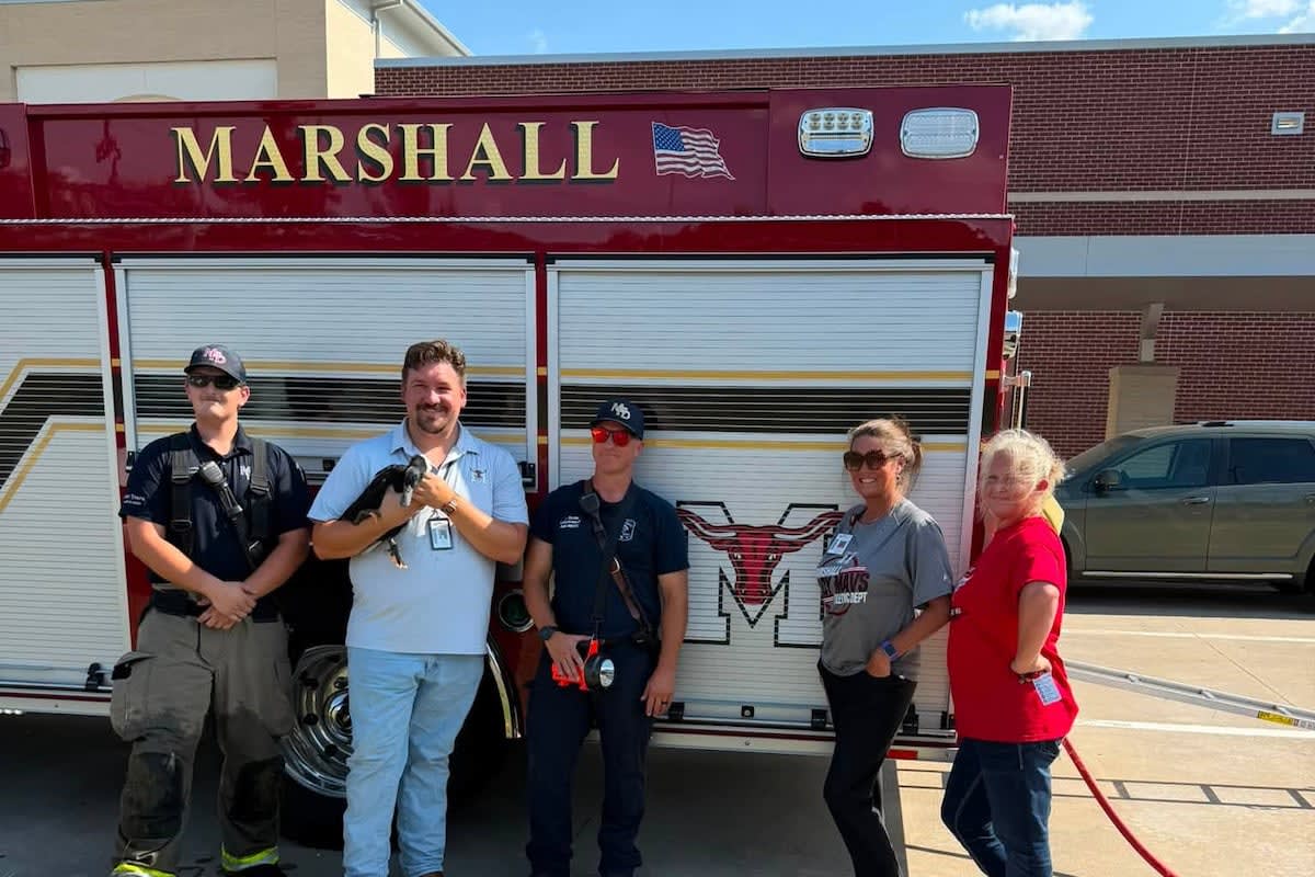Marshall Firefighters Rescue School Duck from Storm Drain - Image 3