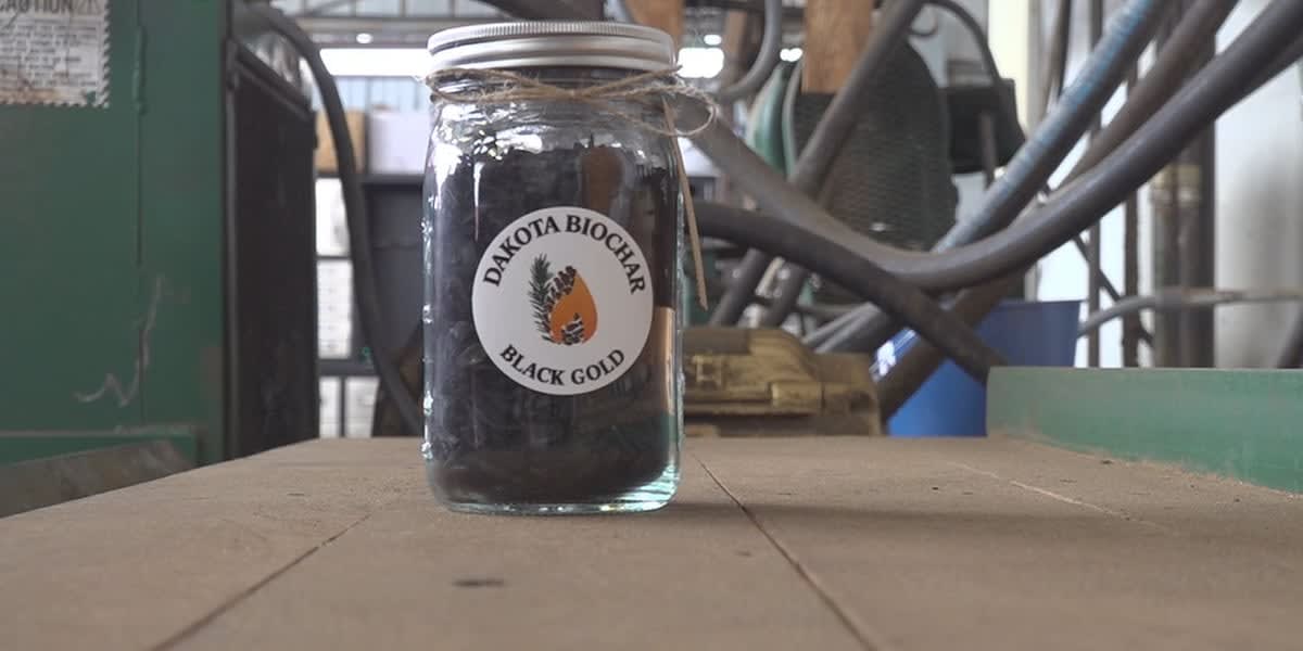 Workers at Dakota BioChar facility processing forest waste into biochar and clean energy