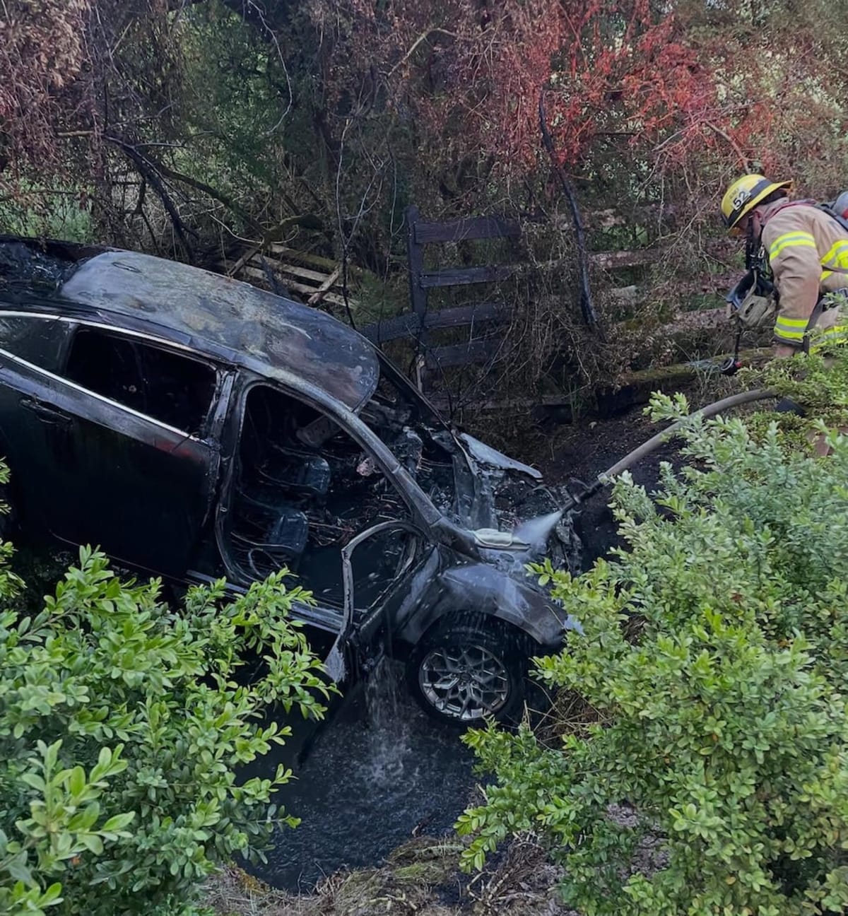 Bystander Saves Driver From Burning Car in Oregon Crash - Image 2