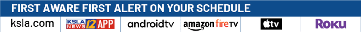 LSU Students Walk With Cancer Survivors for 5th Year - Image 2