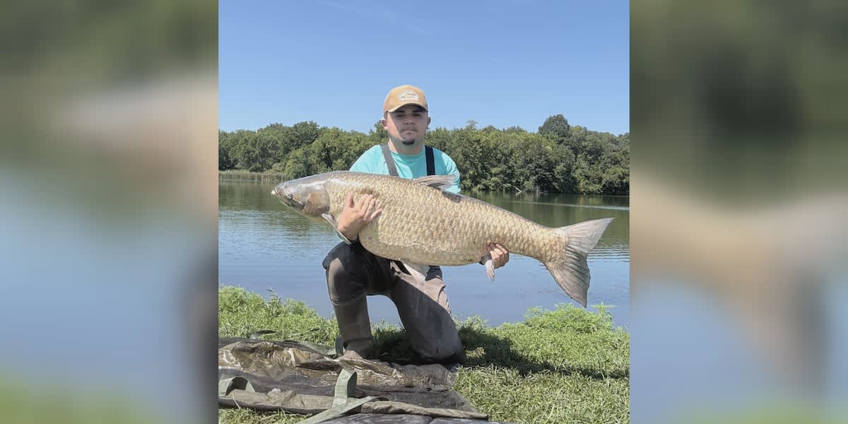 Angler Catches 71-Pound World Record Fish, Then Lets It Go