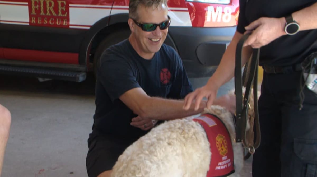 Therapy Dog Kooper Saves Lives at Iowa Fire Department - Image 3