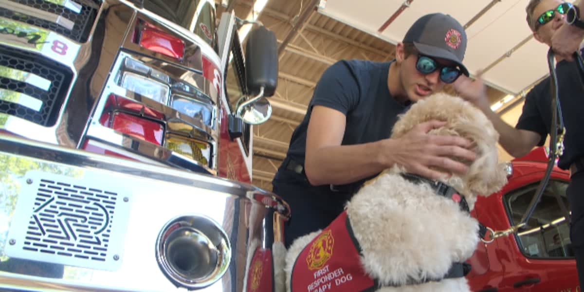 Kooper, a golden therapy dog, provides comfort to firefighters at Sioux City Fire Rescue station