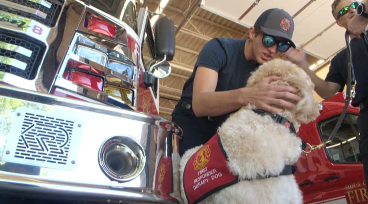 Therapy Dog Kooper Saves Lives at Iowa Fire Department - Image 2
