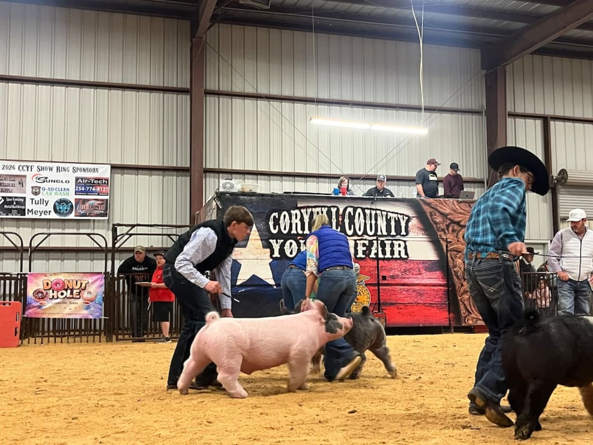Texas Teen's Pig Eddie Wins Grand Champ, Sells for $505K - Image 4