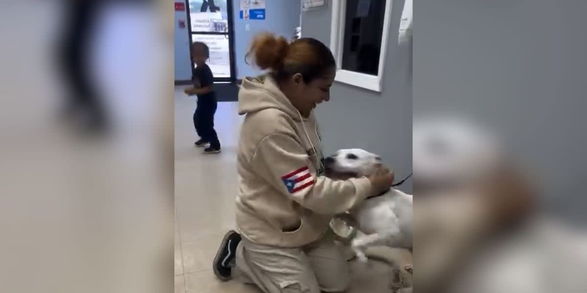 Dog Reunites with Family After Two Years Thanks to Microchip