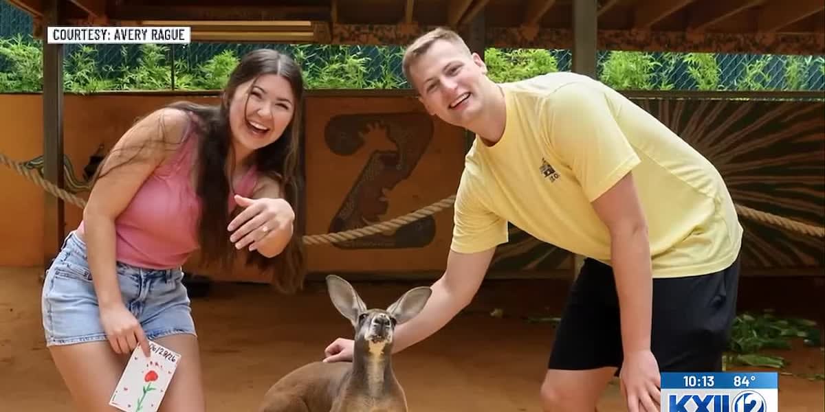 Newly engaged couple at San Antonio Zoo kangaroo exhibit holding sign and artwork