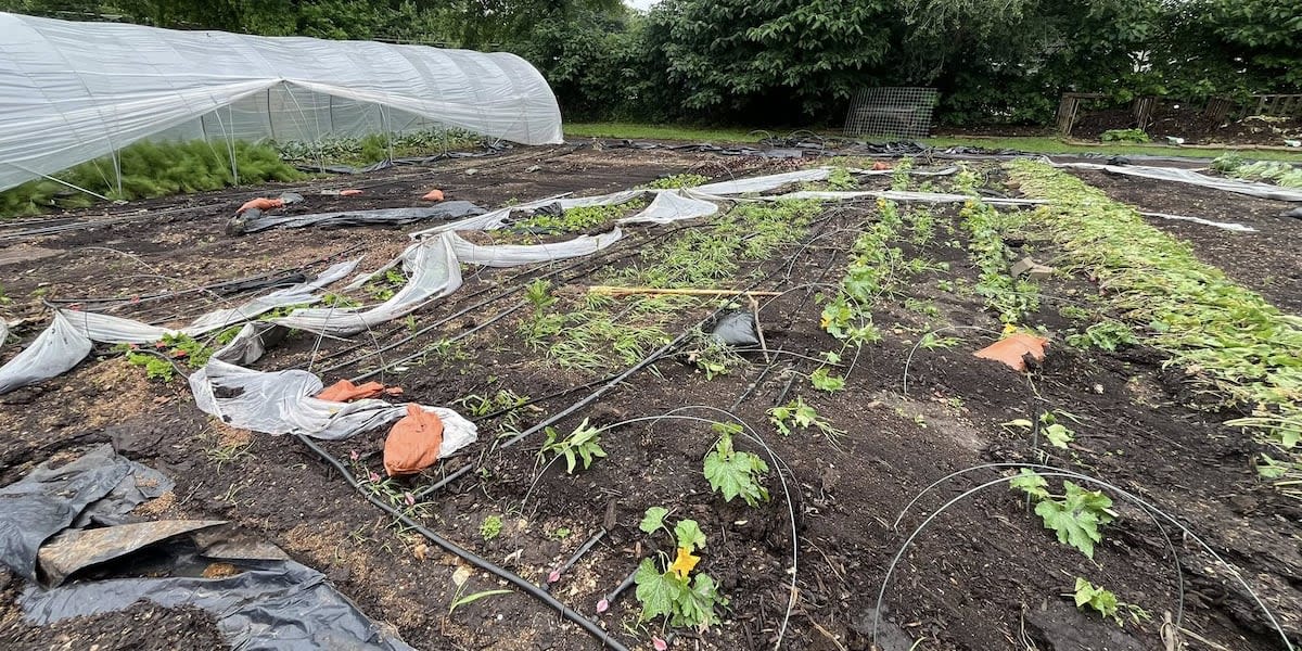 Storm damaged garden beds and washed out pathways at Springfield Community Gardens awaiting volunteer cleanup crews