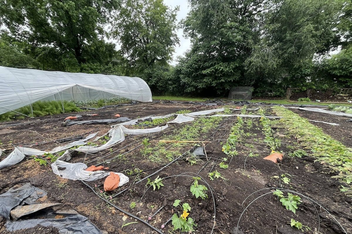 Springfield Garden Volunteers Rally After Storm Damage - Image 4