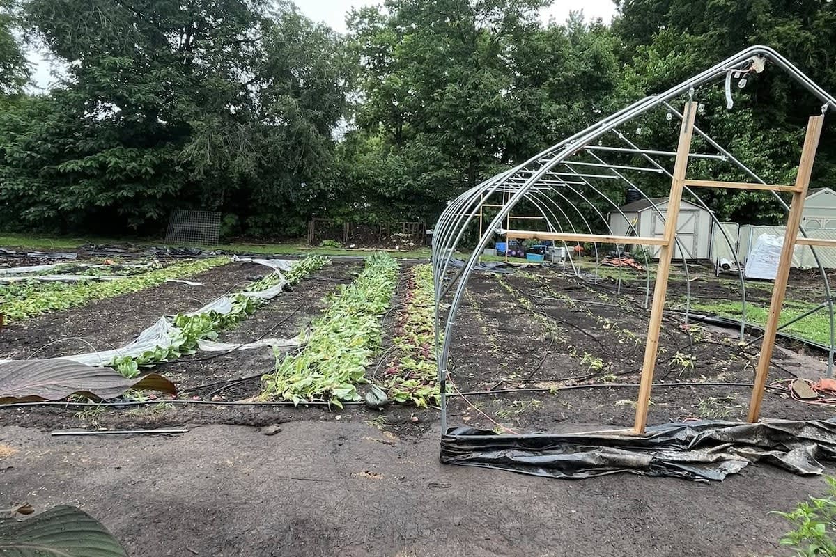 Springfield Garden Volunteers Rally After Storm Damage - Image 2
