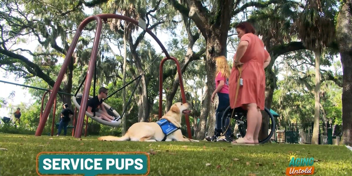 Service dog helping person with disability retrieve dropped item from floor