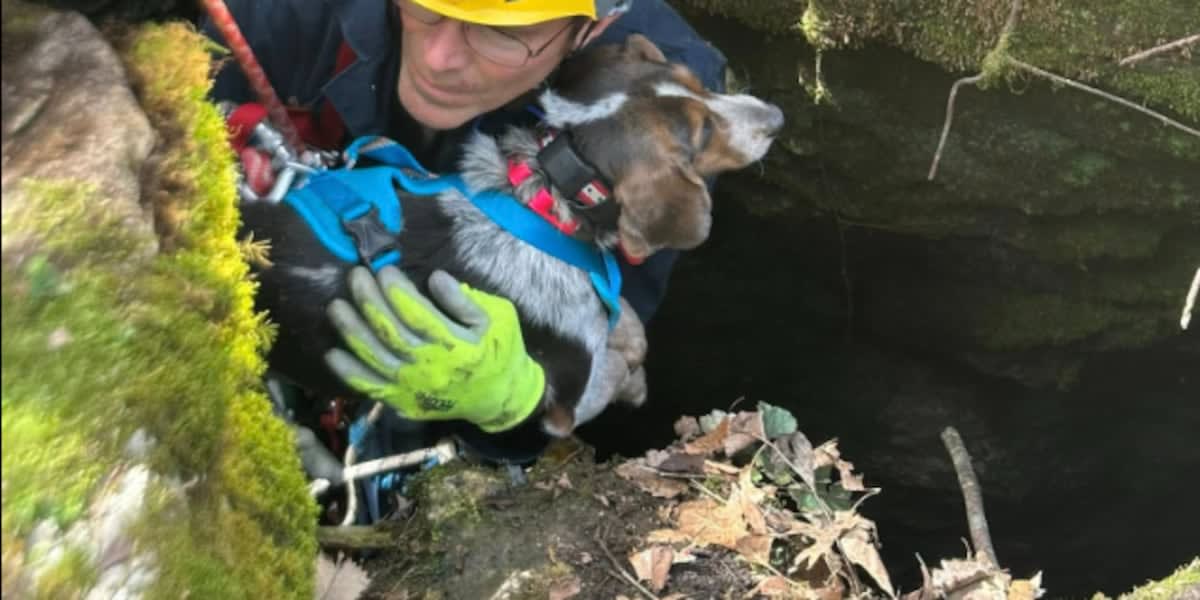 Firefighter in rescue gear using rope system at narrow cave opening during dog rescue operation