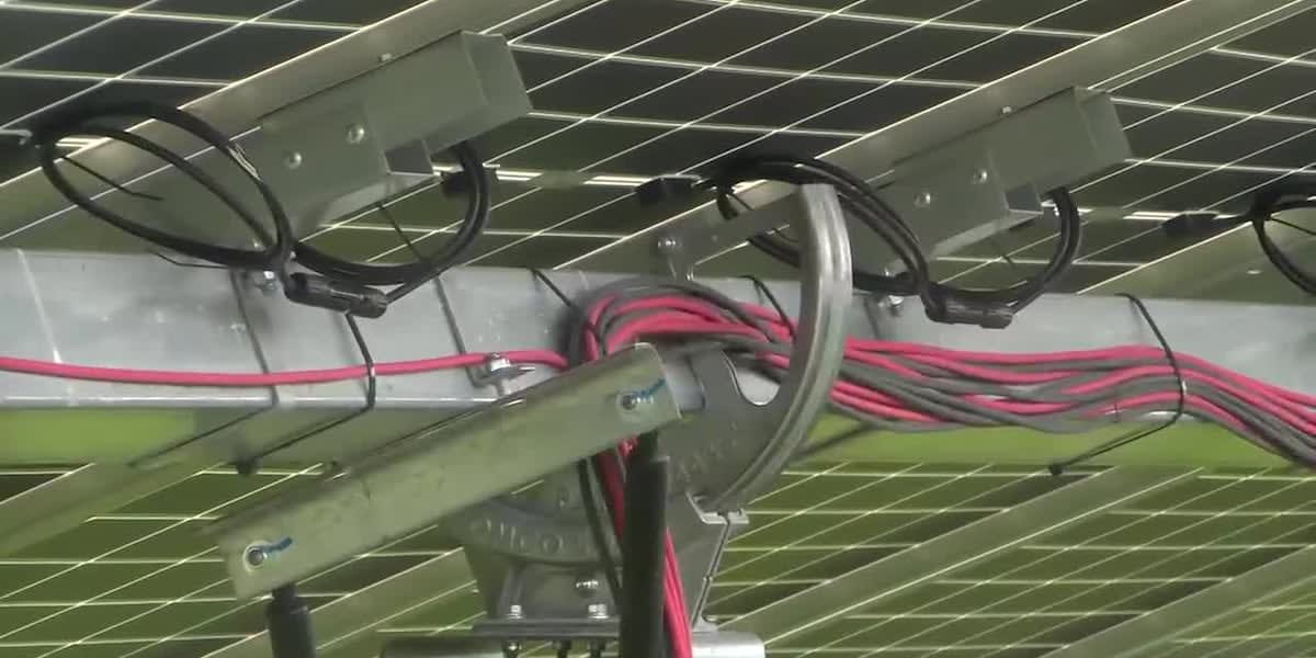 Wisconsin Grants Help 270 Projects Go Solar
