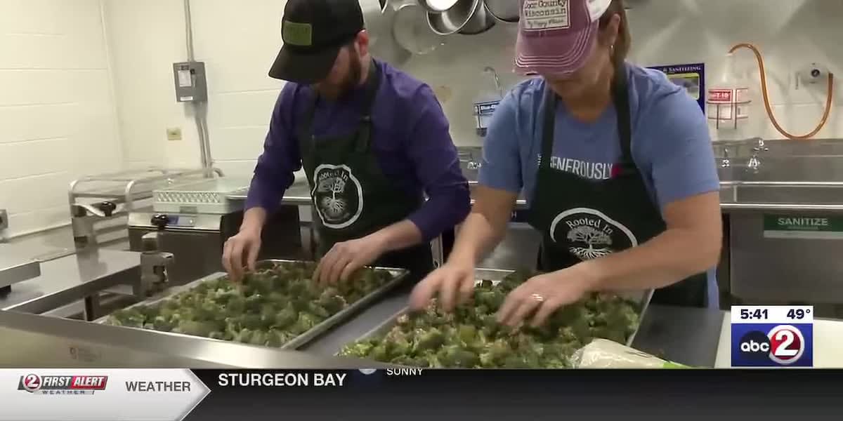 Volunteers sorting and packaging rescued surplus food in commercial kitchen for community meals
