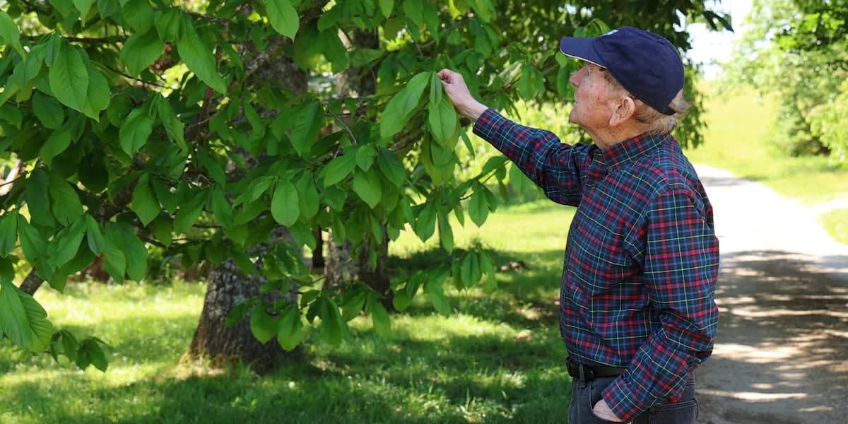 Kentucky Man Plants 100,000 Trees After Dust Bowl Damage