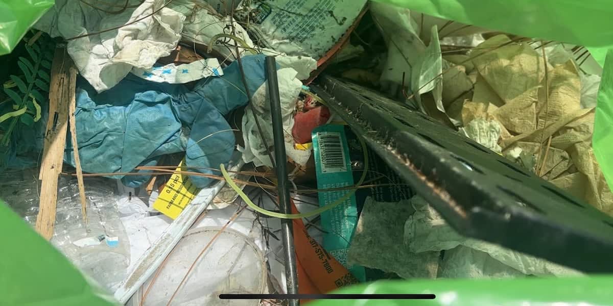 Folly Beach Volunteers Collect 10K Pieces of Trash in 2 Hours