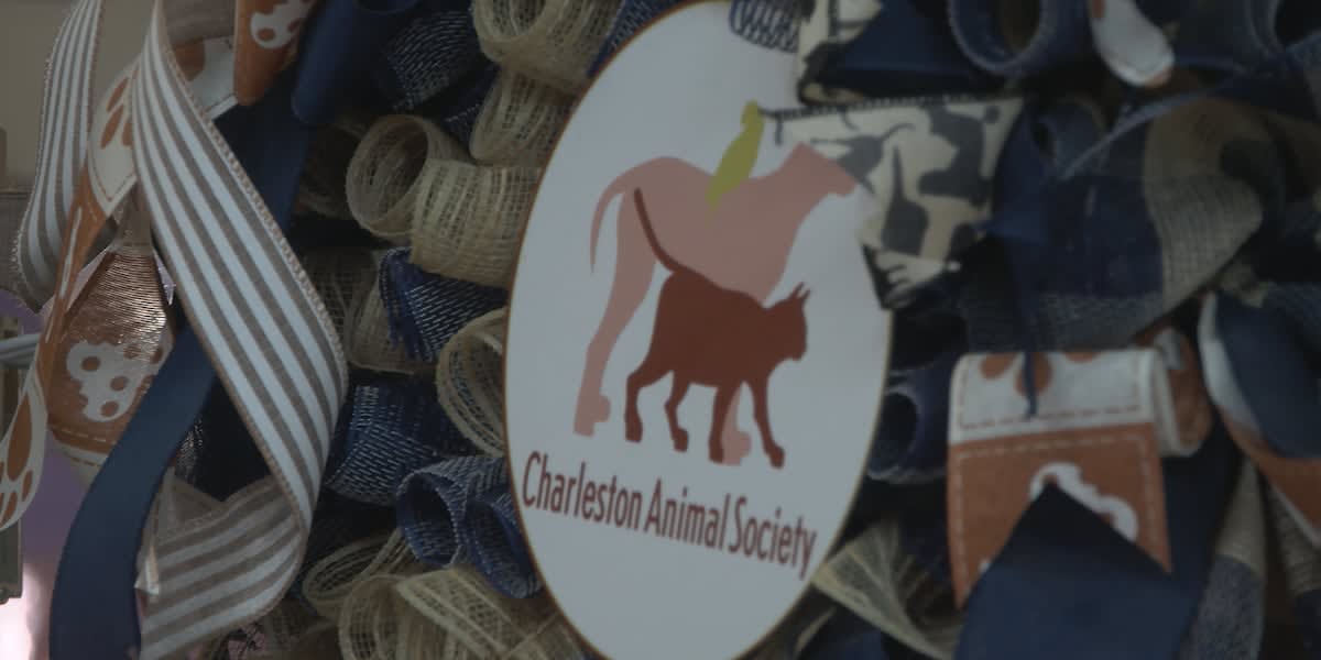 600 Animals Saved in Berkeley County Shelter Turnaround