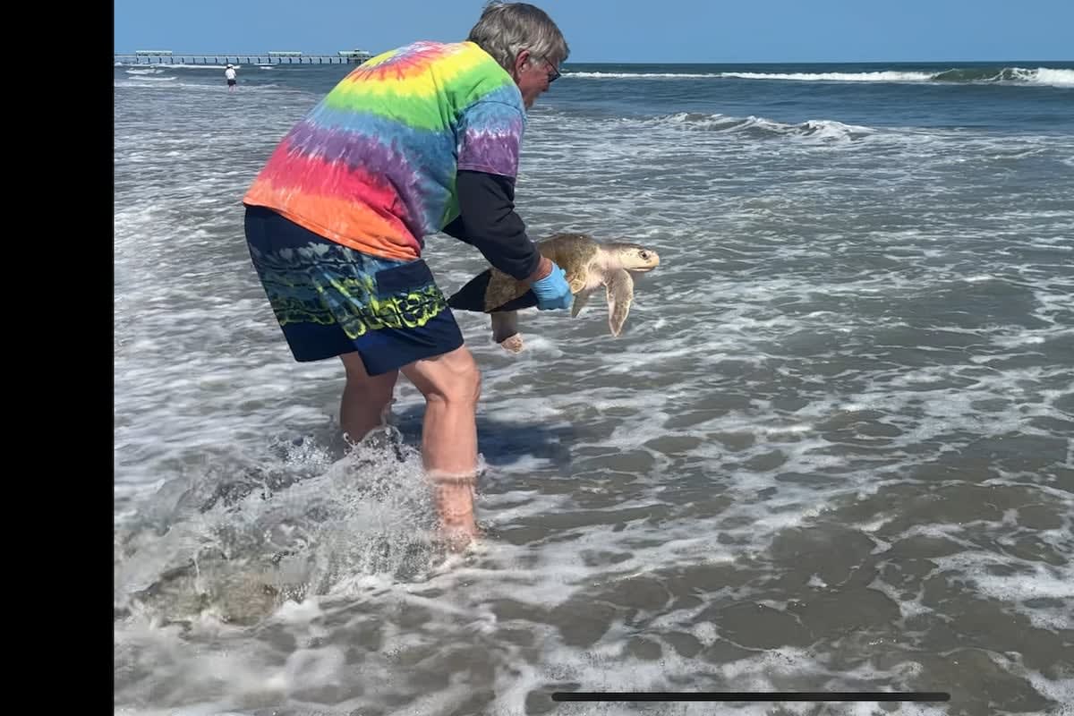 Folly Beach Volunteers Collect 10K Pieces of Trash in 2 Hours - Image 3