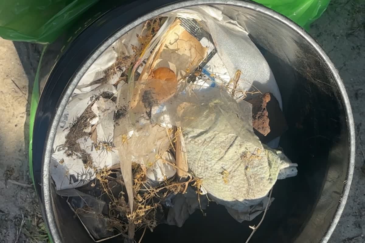 Folly Beach Volunteers Collect 10K Pieces of Trash in 2 Hours - Image 4