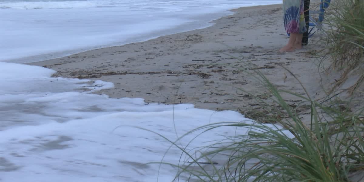 Fort Fisher Beach Cleanup Unites Community on World Ocean Day