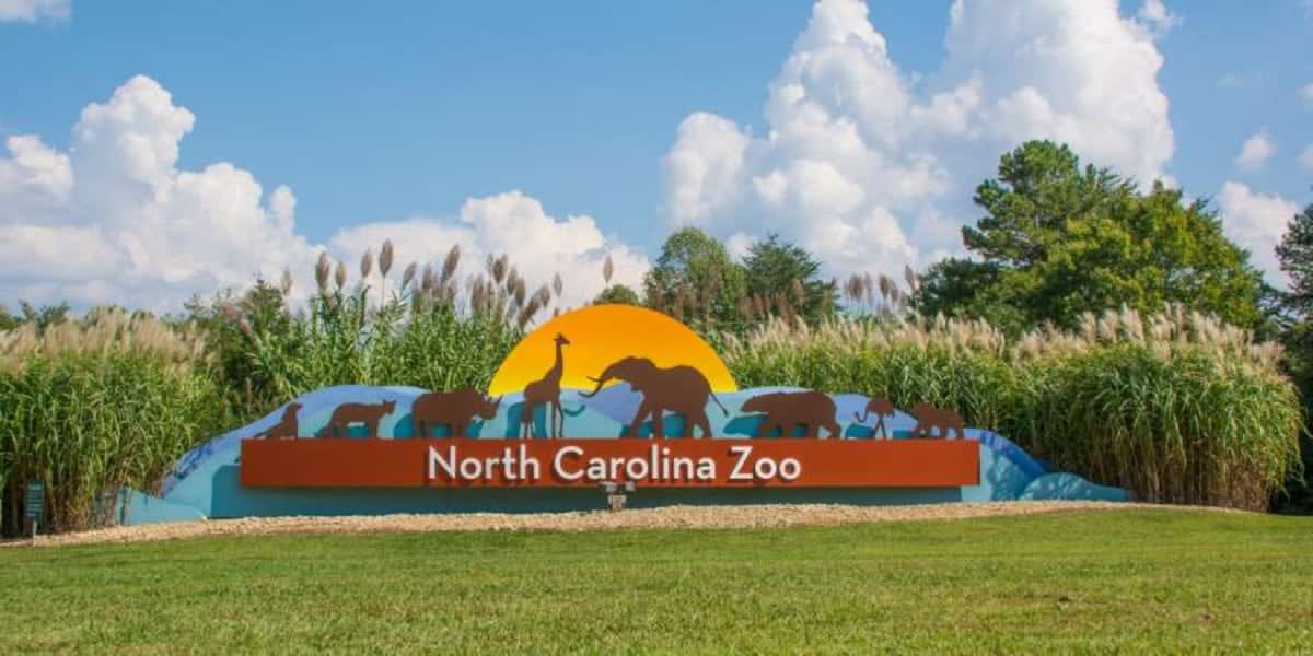 North Carolina Zoo Is World's Largest Natural Habitat