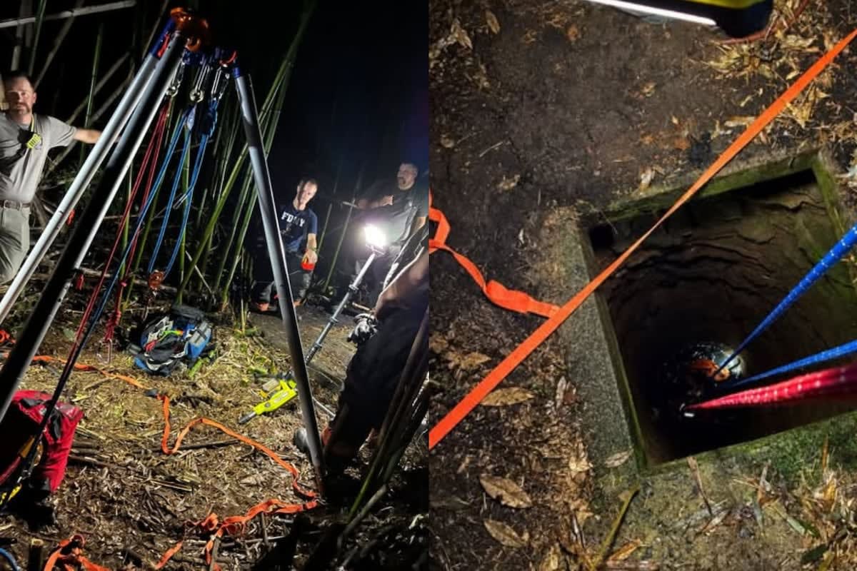 Firefighters Rescue Dog From 50-Foot Abandoned Well - Image 2