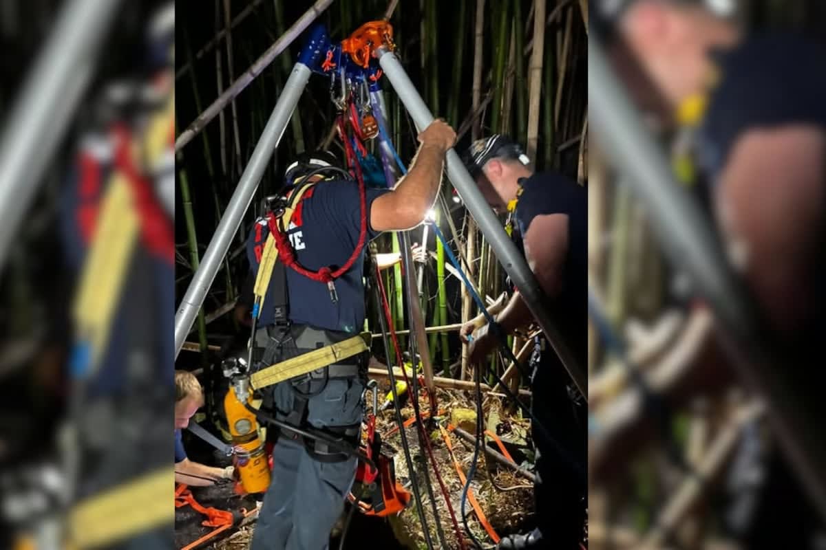 Firefighters Rescue Dog From 50-Foot Abandoned Well - Image 3