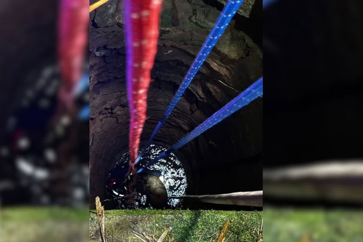 Firefighters Rescue Dog From 50-Foot Abandoned Well - Image 4