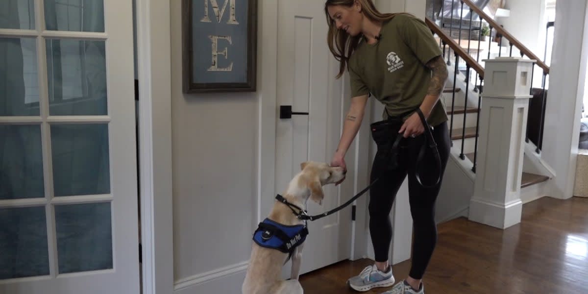 Cancer Survivor and Rescue Dog Team Up to Find Hidden Mold