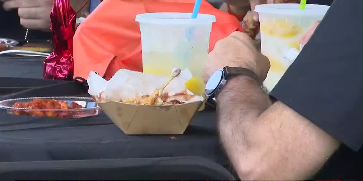 Families gather at outdoor chicken wing festival in Lansing supporting cancer survivors nonprofit
