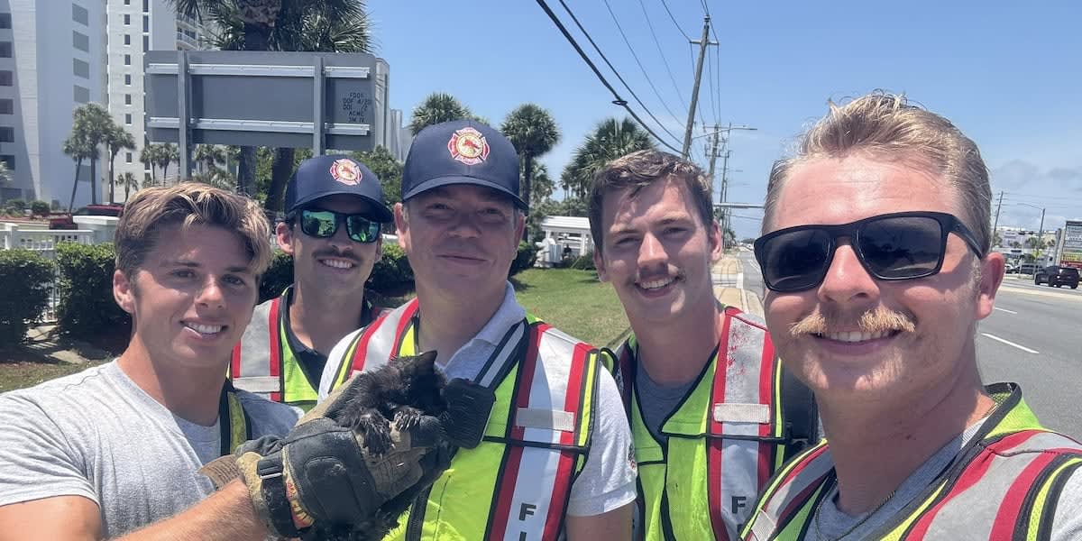 Small rescued kitten being held safely by Destin Fire Rescue firefighter after storm drain rescue