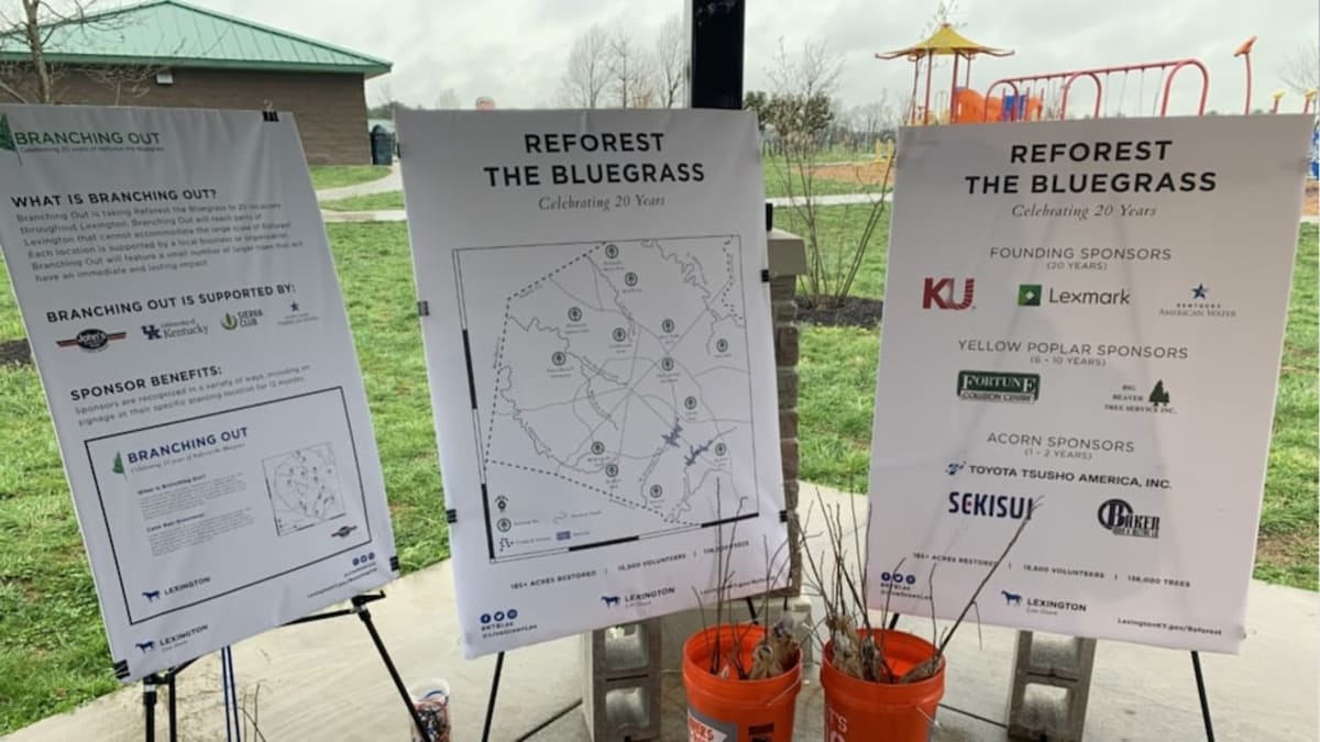 Lexington Plants 1000s of Free Trees for Residents - Image 2