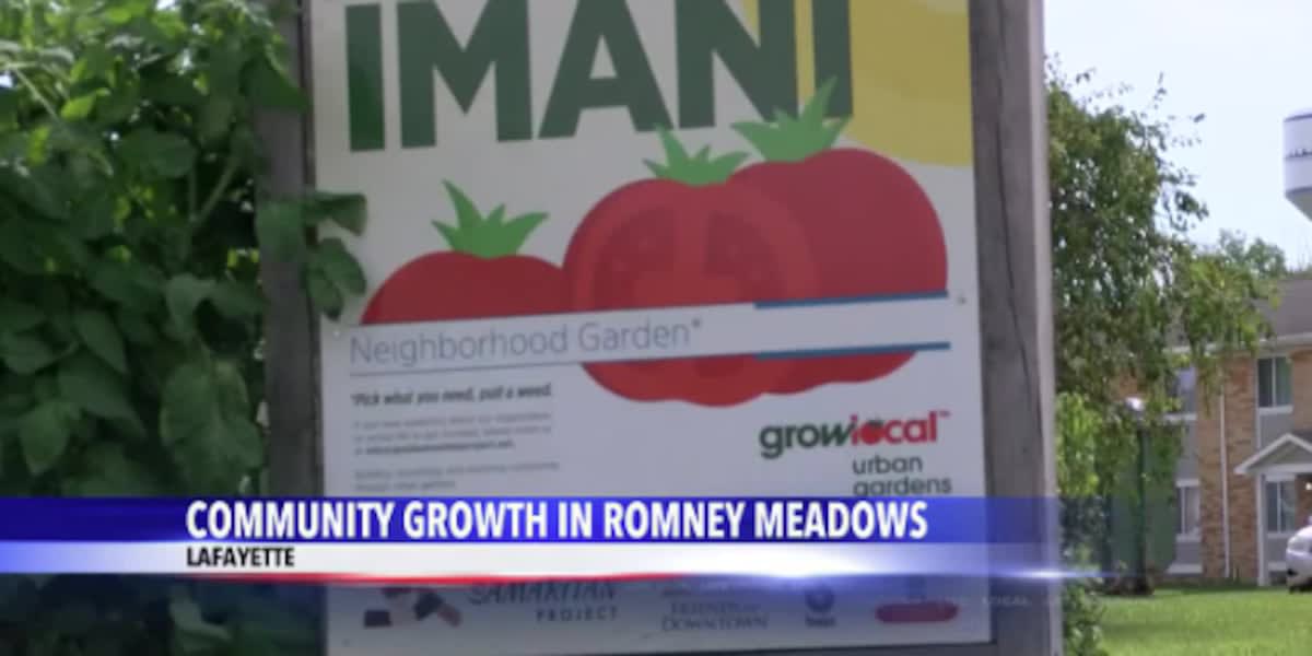 Community members gathering at garden with Little Free Library box surrounded by vegetables and plants