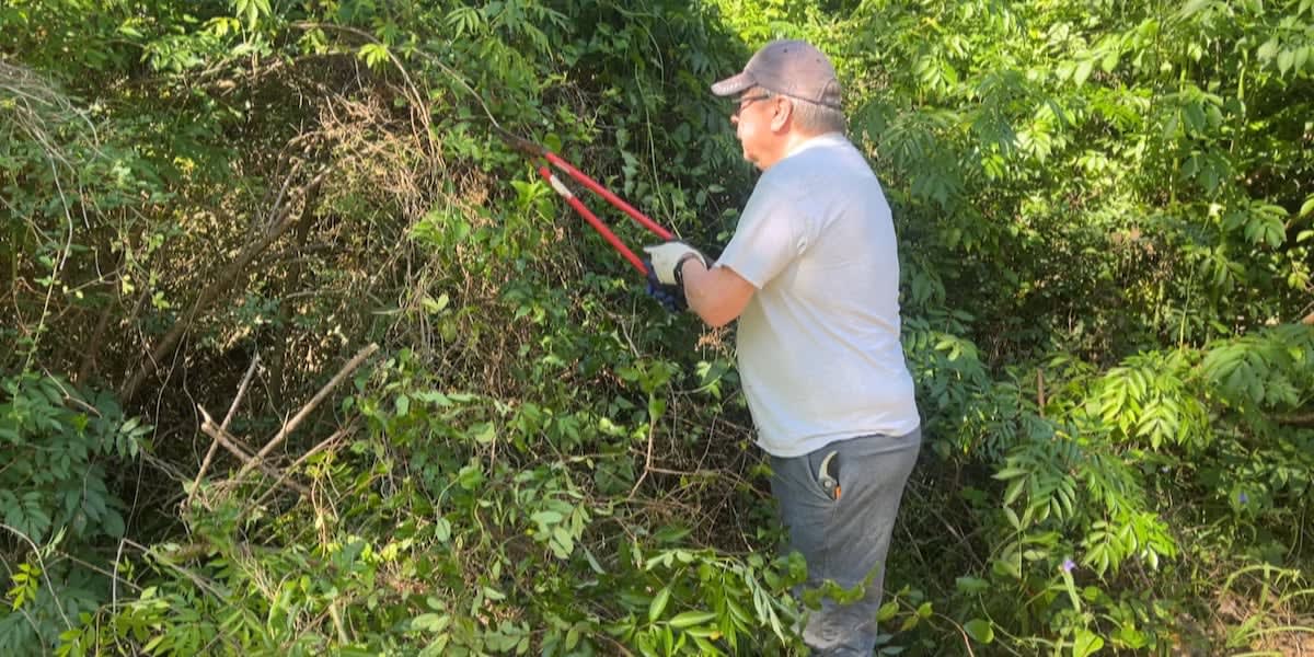 Volunteers working together to clean up historic Bay St. Louis Little Theatre grounds in Mississippi