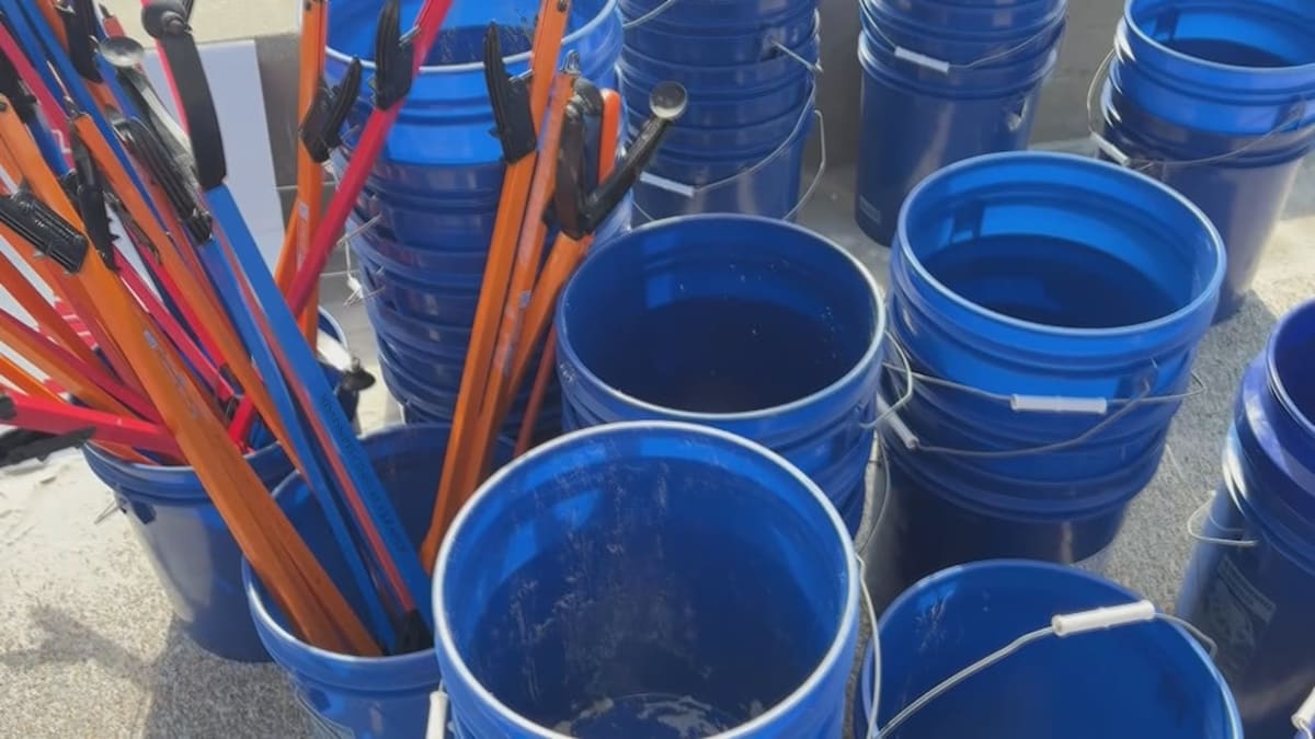 Mississippi Volunteers Clean 4th Beaches for Wildlife - Image 2
