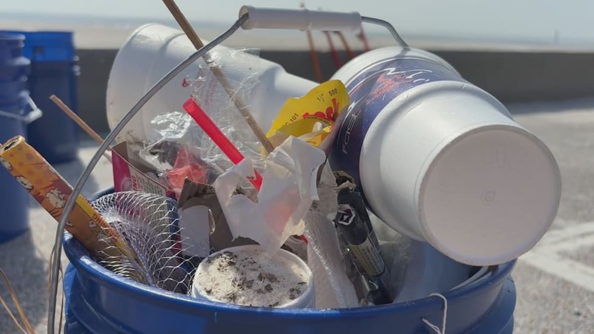 Mississippi Volunteers Clean 4th Beaches for Wildlife - Image 3