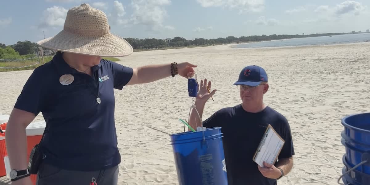 Mississippi Volunteers Clean 4th Beaches for Wildlife