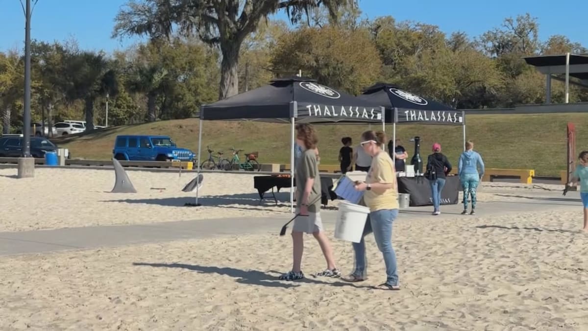 Ocean Springs Beach Cleanup Doubles in 3rd Year - Image 3