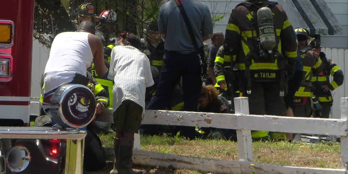 Memphis Firefighters Save Dog with CPR After House Fire