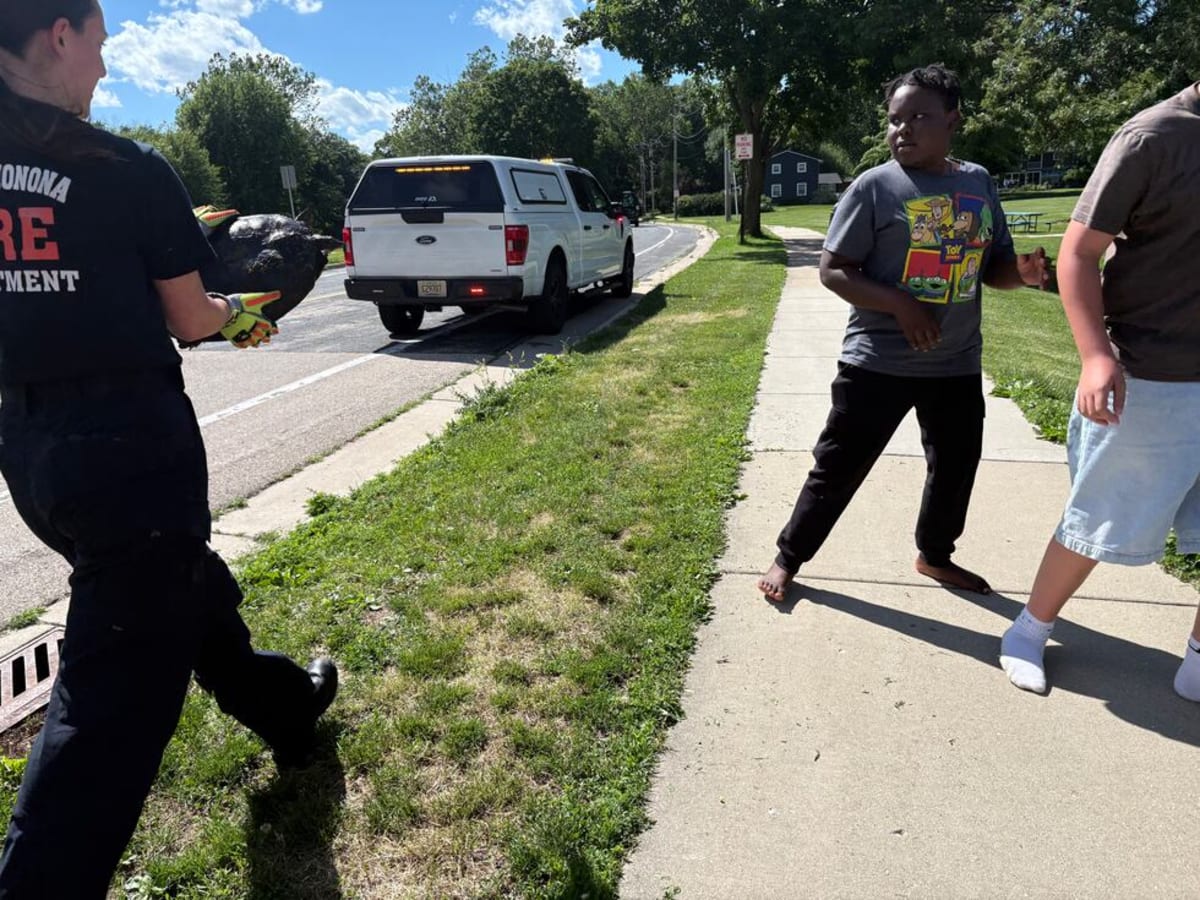 Kids Save Turtle, Rush to Police on Bikes - Image 3