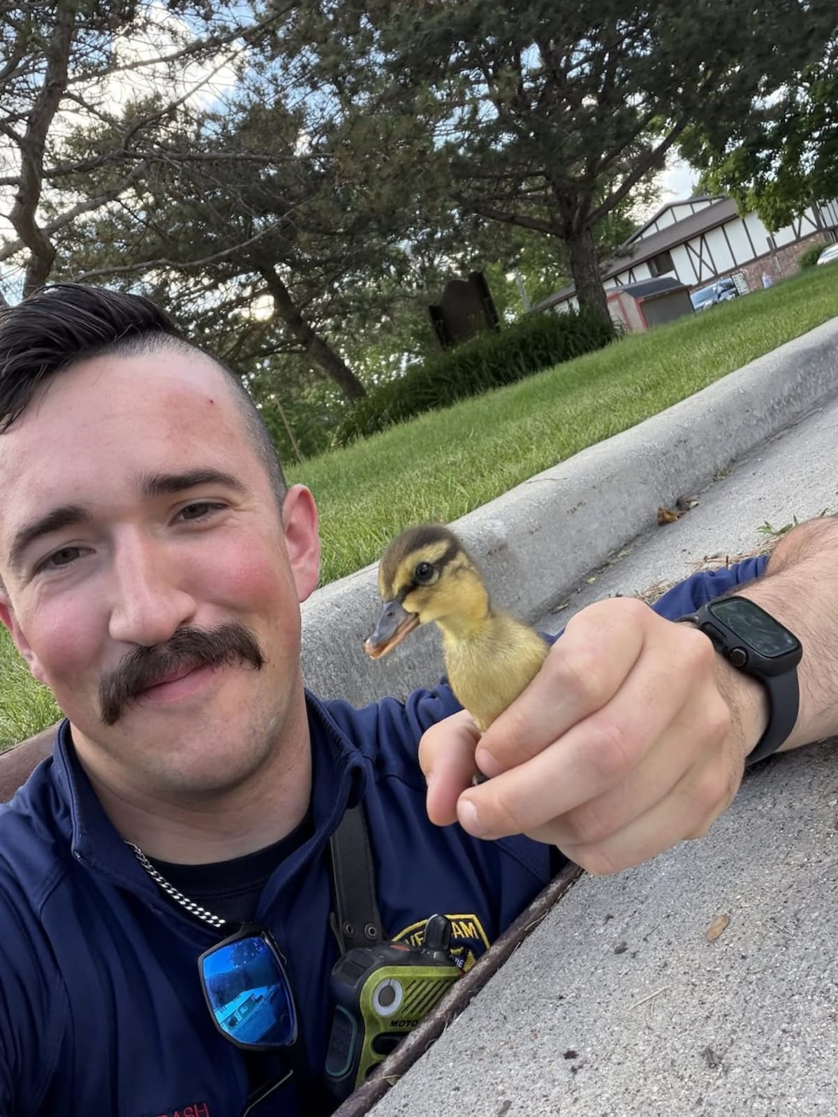 Firefighters Rescue Ducklings from Wisconsin Storm Drain - Image 3