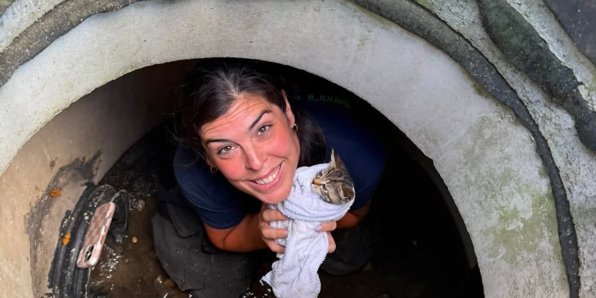 Notre Dame Firefighter Crawls Through Sewer to Save Kitten