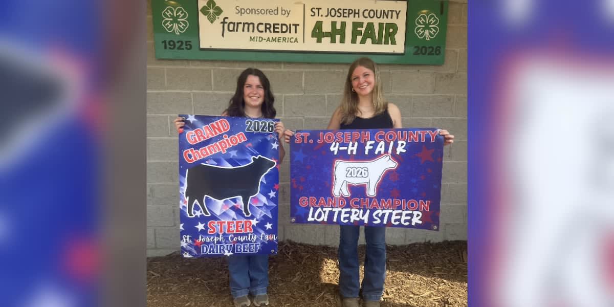 Two teenage best friends standing with their champion steers at Indiana county fair