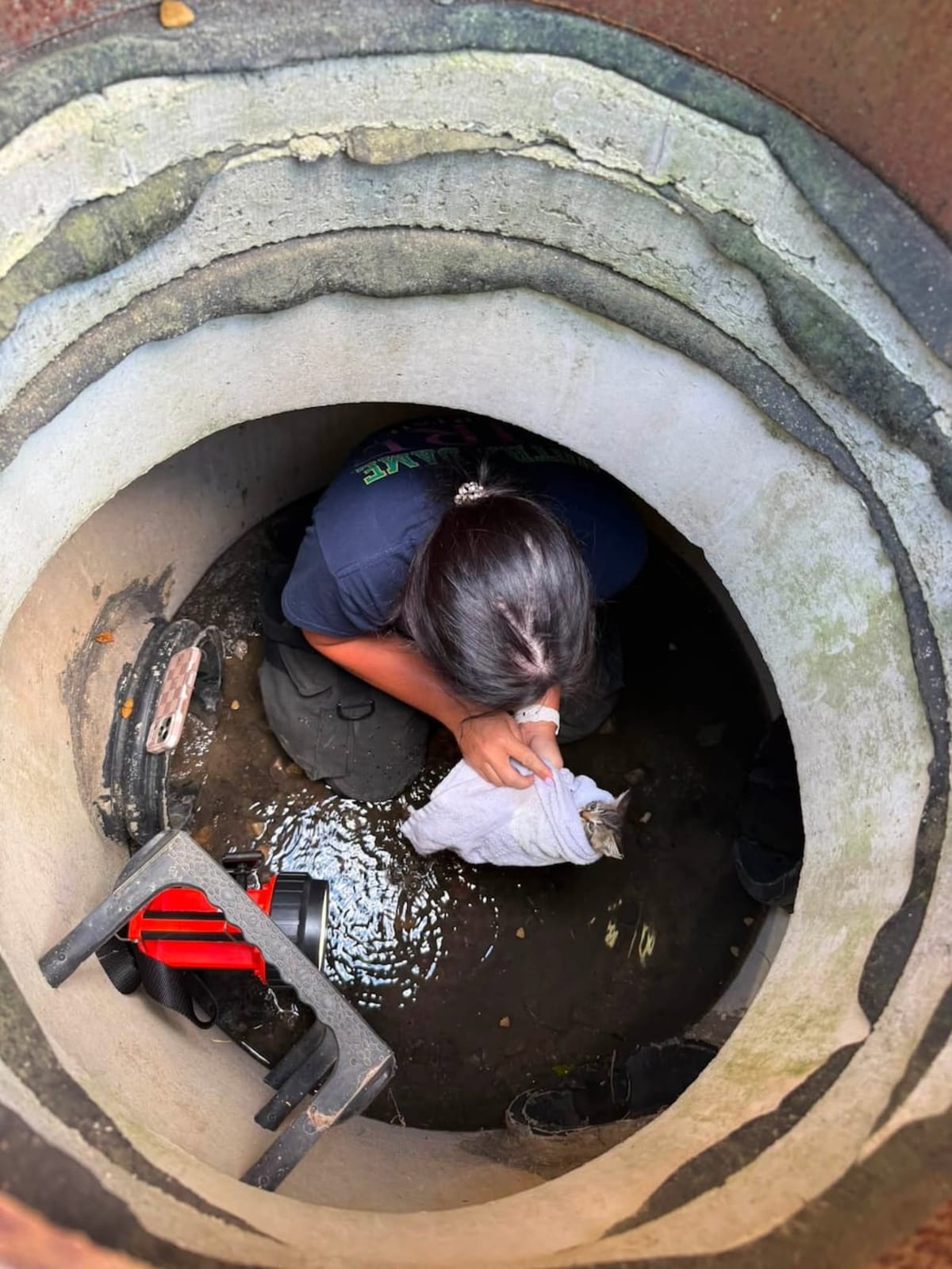 Notre Dame Firefighter Crawls Through Sewer to Save Kitten - Image 2