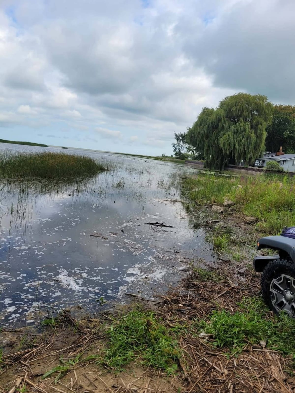 Michigan Firefighters Rescue Driver from Submerged Jeep - Image 3