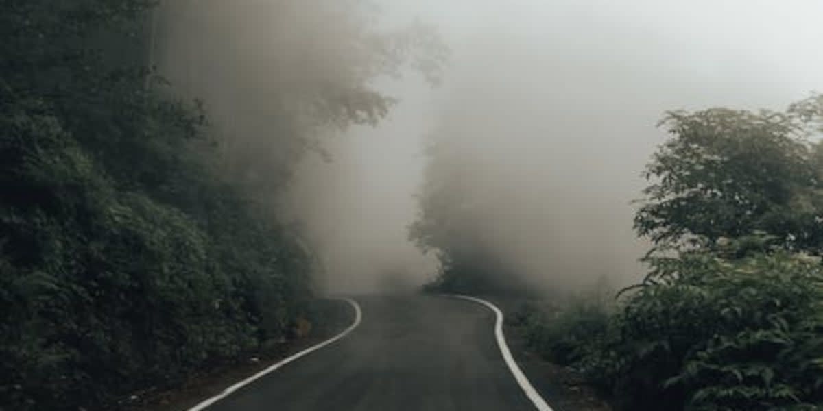 Morning fog rolling over landscape with microscopic bacteria living inside water droplets cleaning air pollution