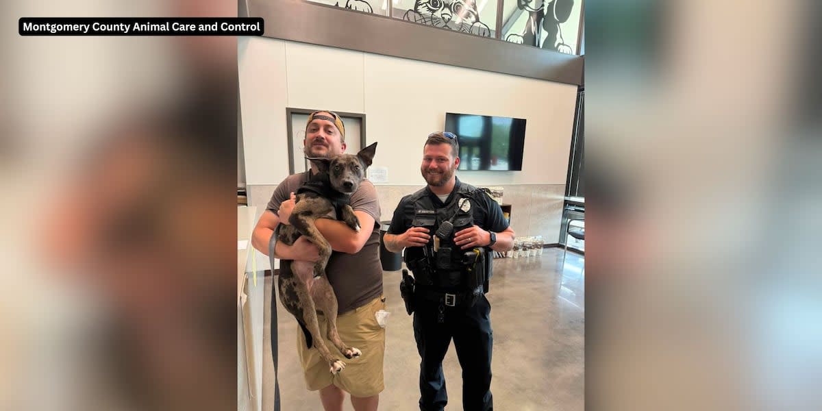 Happy dog Charlie reunited with owner Allen after being found by Good Samaritan in Clarksville