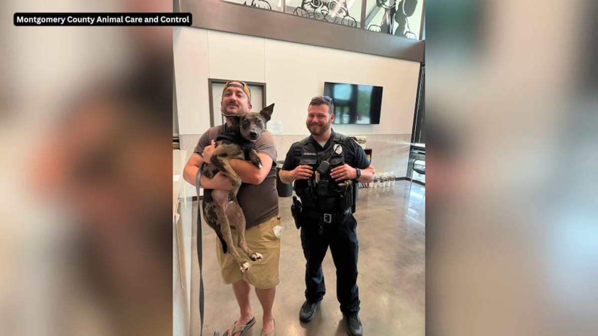 DoorDash Driver Reunites With Dog After Clarksville Theft - Image 3